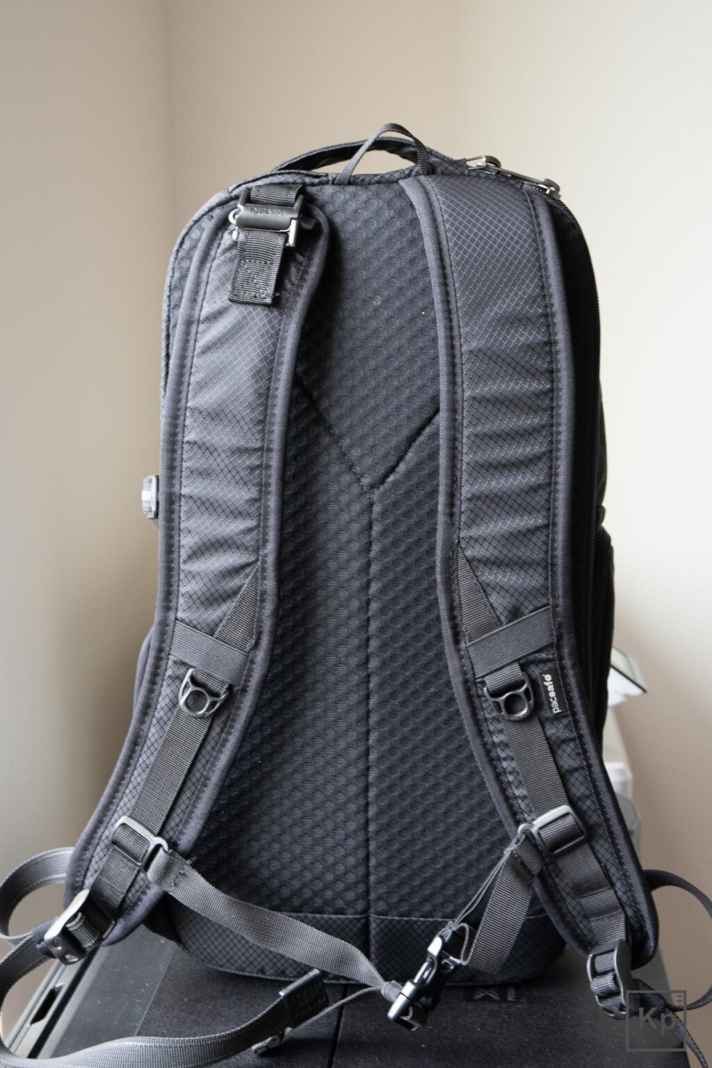 Pacsafe Camsafe X9, X17, & X25 Anti-theft Backpack Review – Which One ...